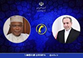 عراقچی خواستار اقدام کشورهای اسلامی بر مقابله با اسرائیل شد