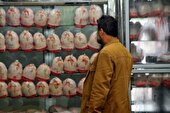 محکومیت سزای گران‌فروشی مرغ در نهاوند