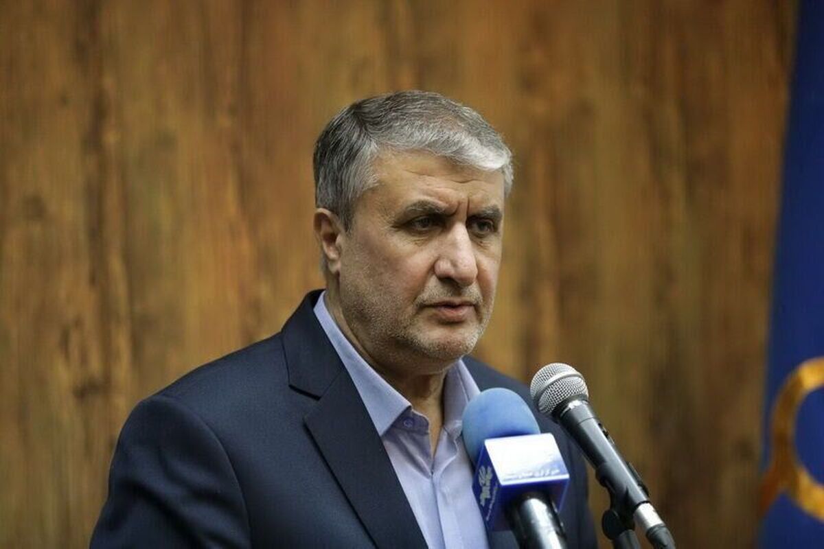 معاون رئیس‌جمهور و رئیس سازمان انرژی اتمی در نامه‌ای به مدیرکل آژانس بین‌المللی انرژی اتمی نوشت: جمهوری اسلامی ایران تدابیر لازم در خصوص دفاع از حقوق حاکمیتی خود را به عمل آورده و اقدامات حقوقی مقتضی به ویژه در ارتباط با بی عملی های صورت گرفته توسط شخص جنابعالی را پیگیری خواهد نمود.