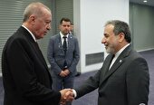 جامعه بین الملل، شورای امنیت را متوجه مسئولیت خطیر خود بنماید