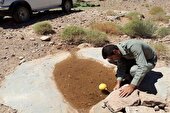 خشکی ۴۶ درصد چشمه‌ها و قنات‌های مناطق حفاظت شده گچساران