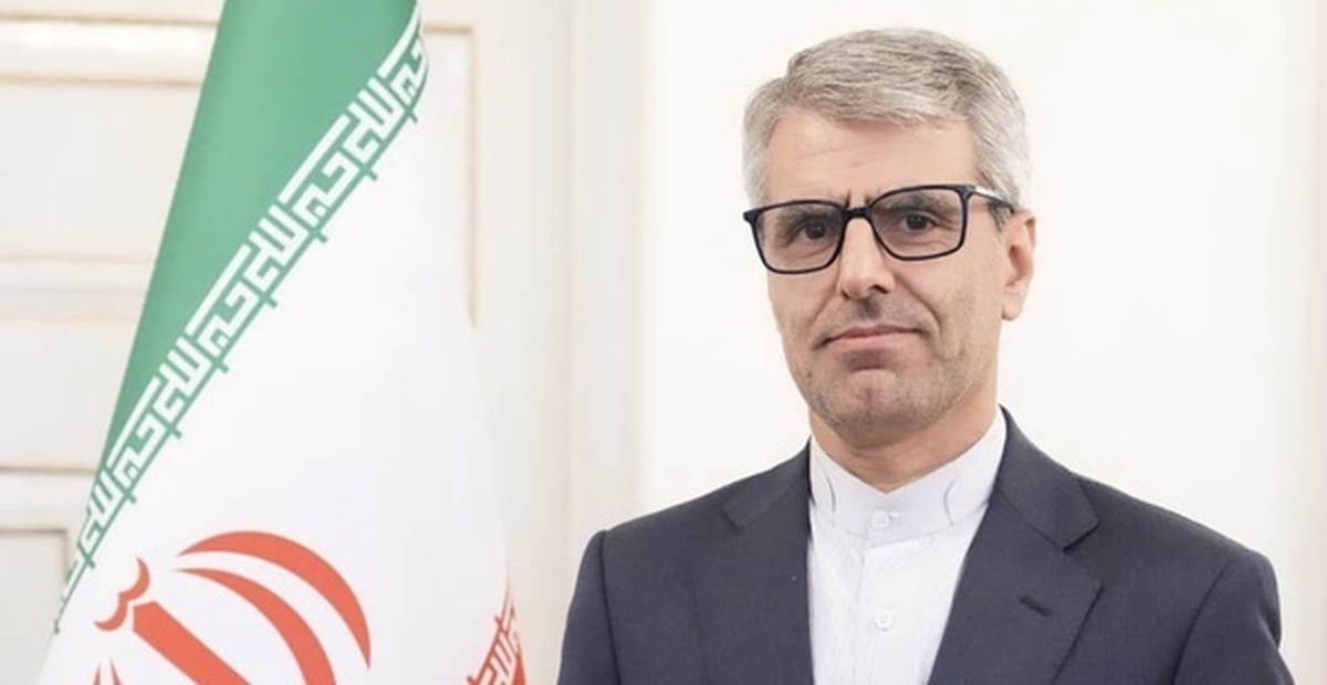 سخنگوی وزارت خارجه ایران با بیان اینکه «رژیم صهیونیستی هیچ حد و مرزی در سبعیت و نقض فاحش هنجارهای بین‌المللی نمی‌شناسد»، گفت: کشورهای حامی رژیم صهیونیستی باید به خاطر همدستی در ادامه نسل‌کشی در غزه پاسخگو باشند.