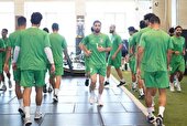 عکس | ملی پوش ایران از تیم هلندی جدا شد