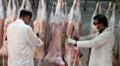 نظارت بهداشتی ۱۳۰ کارشناس دامپزشکی بر ذبح دام‌های نذری