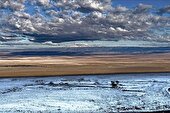 ببینید | برف در بیابان