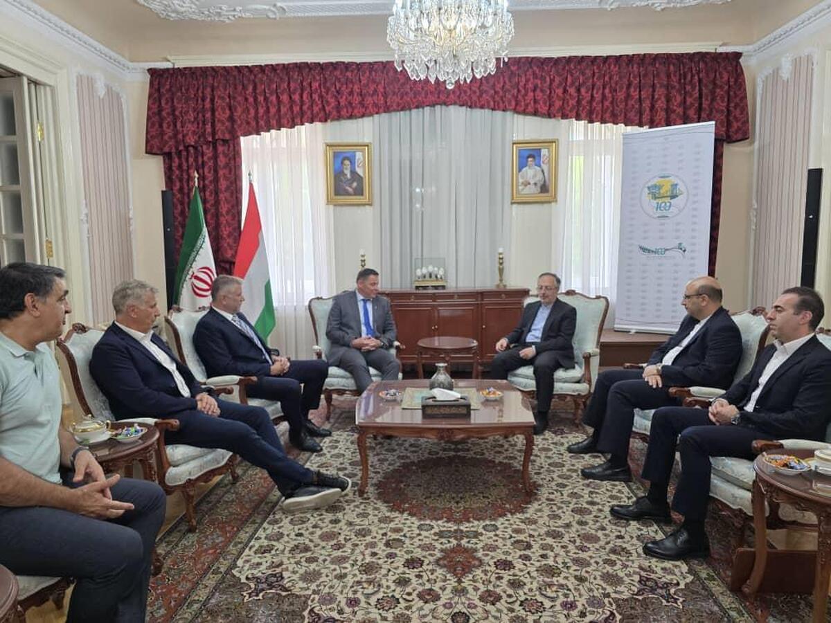 دبیر کل کمیته ملی المپیک طی دیدار با سفیر ایران در مجارستان از وزارت امور خارجه و سفرای کشورمان در کشورهای مختلف جهان جهت حمایت و همکاری با تیم های اعزامی به رویدادهای بین المللی ورزشی تقدیر و تشکر کرد.
