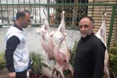 نظارت بهداشتی ۵۰ اکیپ دامپزشکی در مازندران