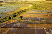 شناسایی ۱۹ مورد تغییر کاربری غیرمجاز در اراضی کشاورزی خوزستان