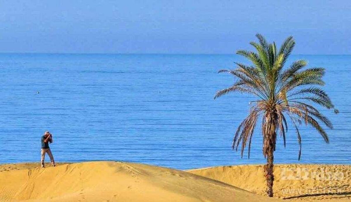 دبیر جشنواره ملی «عکس نگاران» گفت: پنجمین دوره این جشنواره شهریور امسال با حضور عکاسان حرفه‌ای از سراسر ایران برای به تصویر کشیدن زیبایی‌های سیستان و بلوچستان با نگاهی مستند و امیدبخش برگزار می‌شود.