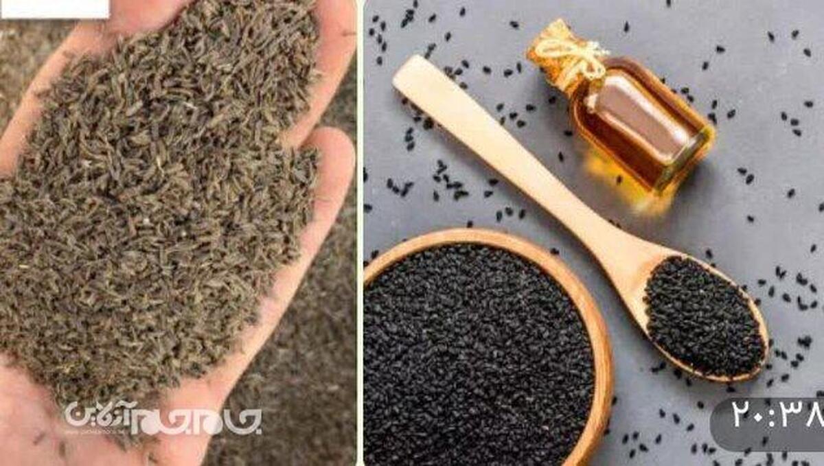 معاون پژوهش و فناوری مرکز تحقیقات کشاورزی گلستان از معرفی ارقام جدید زیره و سیاه‌دانه با هدف جبران خسارات عملکرد و افزایش بهره‌وری این محصولات خبر داد.