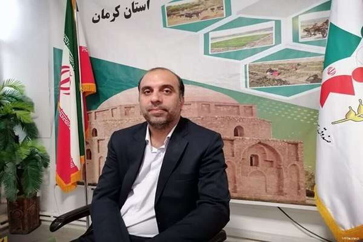مدیر صندوق بیمه اجتماعی کشاورزان، روستائیان و عشایر استان کرمان از فراهم شدن امکان خرید خدمت سربازی و احتساب آن در سوابق بیمه‌ای بیمه‌شدگان این صندوق خبر داد.