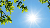 تداوم گرمای تابستانی در مازندران