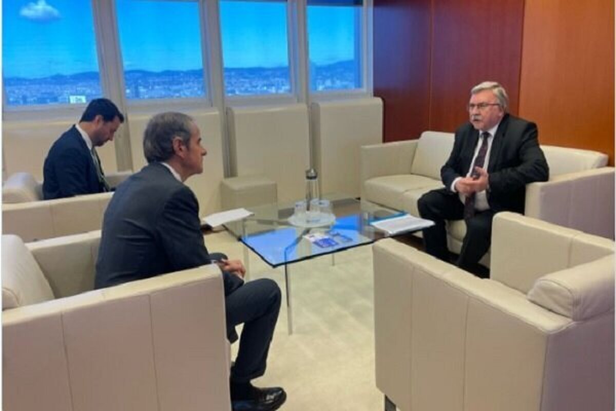 اولیانوف: با گروسی برای گفتگو درباره ایران دیدار کردم