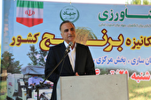 واردات بی‌ضابطه برنج در فصل برداشت تهدید جدی برای تولید است