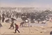 سیستم توزیع کمک ها در غزه معیوب است