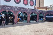 نیشکر مهیای استقبال از زائران اربعین شد