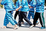 باند بین‌المللی قاچاق اعضای بدن در ایستگاه آخر