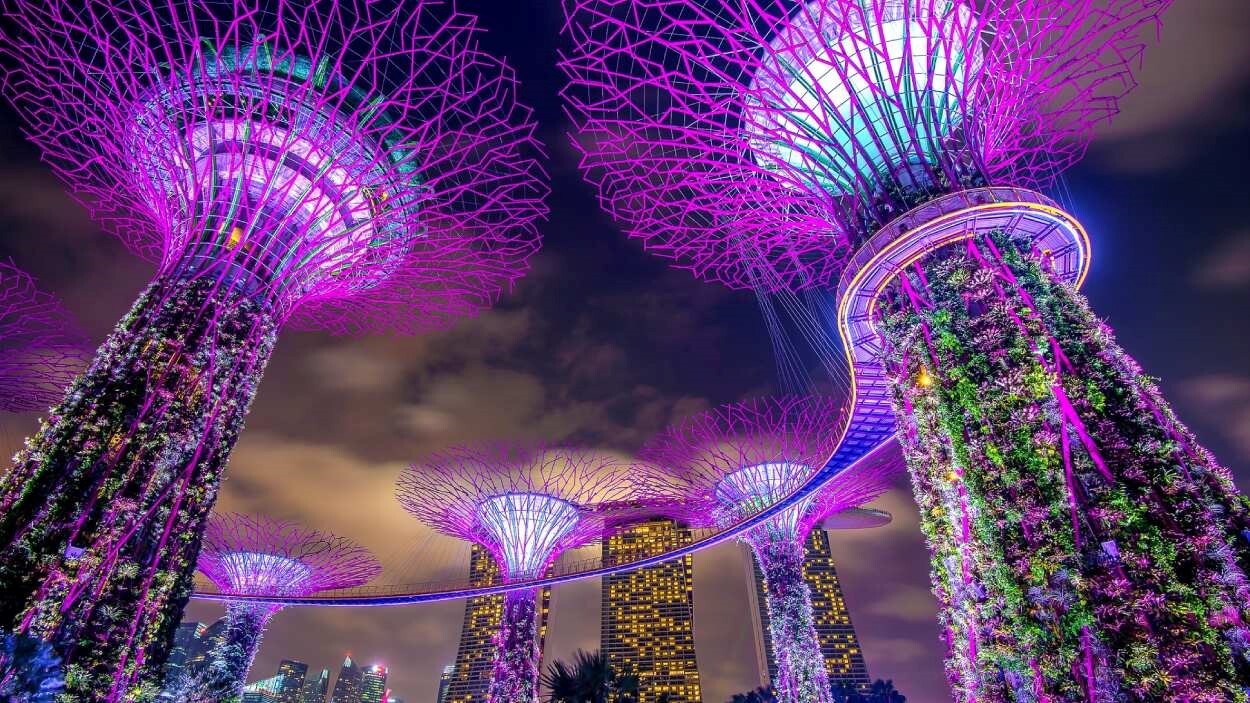 خرید تور سنگاپور با ارزان ترین قیمت از آژانس دنیاگردی آریا خرید تور سنگاپور با ارزان ترین قیمت از آژانس دنیاگردی آریا