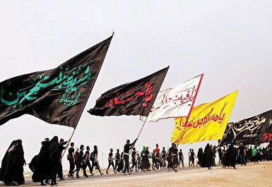 در مسیر اربعین همه خادم‌ هستند