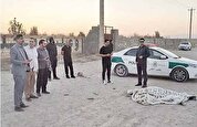 جزئیات قتل به خاطر چند دانه آلو!