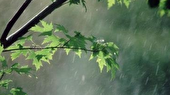احتمال آب‌گرفتگی و ریزش سنگ در محورهای کوهستانی مازندران