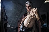موضع‌گیری وزرای خارجه ۲۴ کشور و کمیسرهای اتحادیه اروپا درباره غزه