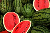 هندوانه: آبرسان تابستانی که بدن را با طعمی شیرین انرژی میدهد
