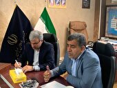مجلس برای توسعه ورزش کارگری پای کار است