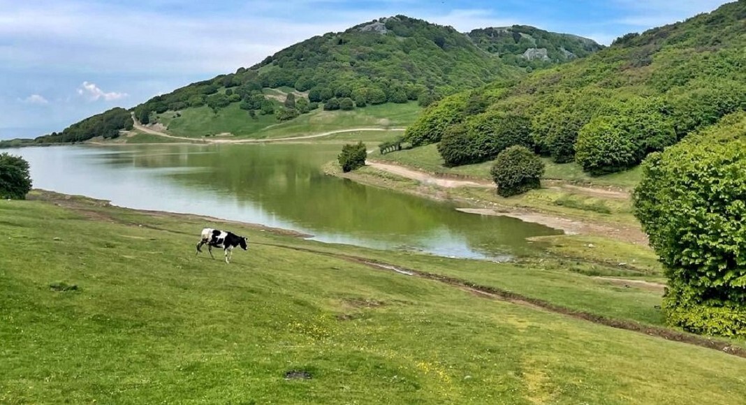 ۱۵ مقصد بکر و کم هزینه در ایران برای سفر تابستانی ۱۴۰۴؛ از دل کویر تا جنگل ۱۵ مقصد بکر و کم هزینه در ایران برای سفر تابستانی ۱۴۰۴؛ از دل کویر تا جنگل