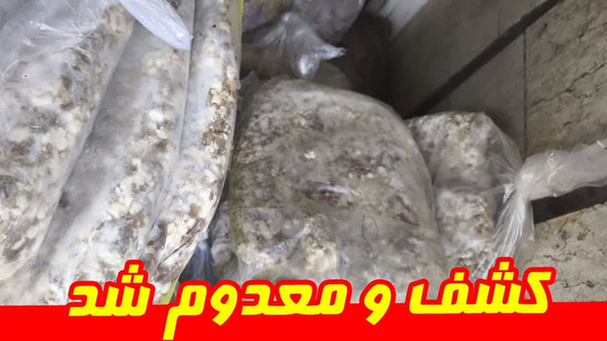 کشف و معدوم‌سازی ۲۵۰ کیلوگرم گوشت فاسد