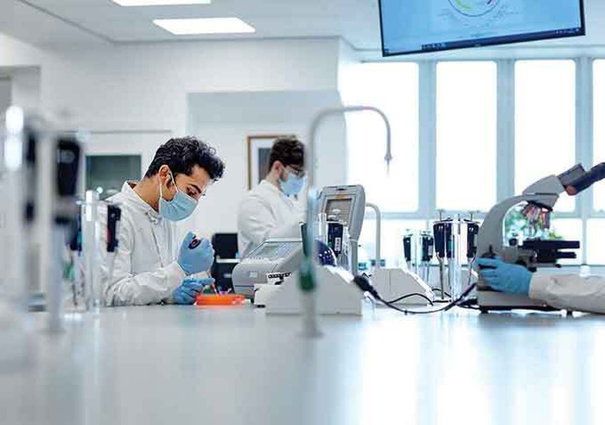 چرا گاهی راست‌‌نگفتن اعتماد را افزایش می‌دهد؟