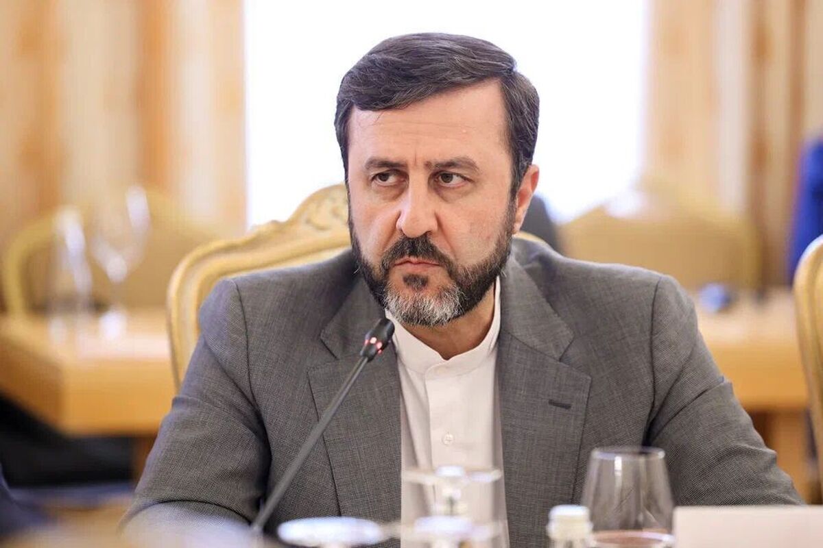 سران شانگهای با برداشت گزینشی اروپا از قطعنامه ۲۲۳۱ مخالفت کردند
