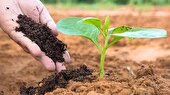 آموزش شهروندی و آشنایی کودکان با تفکیک پسماند