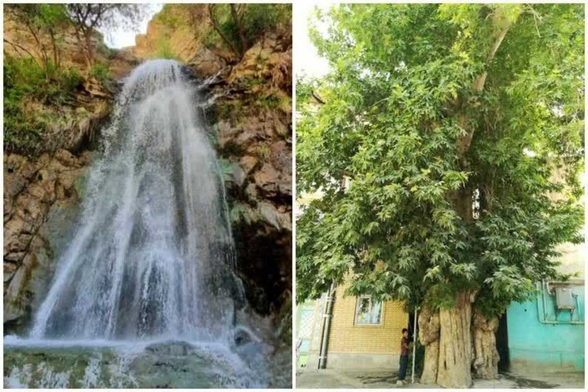 سرپرست اداره‌کل میراث‌فرهنگی، گردشگری و صنایع‌دستی استان البرز، از ابلاغ رسمی ثبت دو اثر طبیعی در شهرستان ساوجبلاغ در فهرست میراث طبیعی ملی خبر داد.