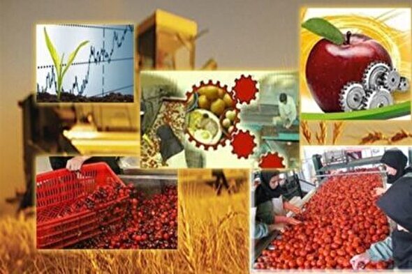 توسعه صنایع تبدیلی در راس امور جهادکشاورزی همدان