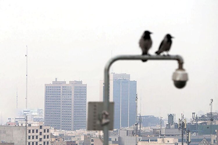 به هوای خاکستری نزدیک می‌شوید