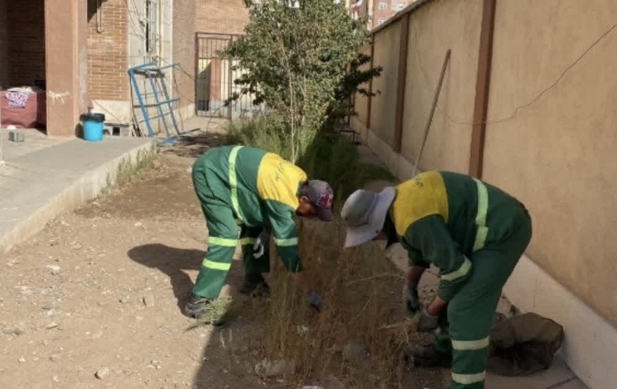  آماده‌سازی محوطه مدرسه دکتر حسابی مهرگان در آستانه ماه مهر