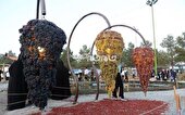 جشنواره انگور ارومیه؛ پیوند کشاورزی، فرهنگ و گردشگری