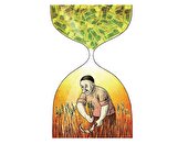 افول خاموش کشاورزی