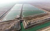 سیستانوبلوچستان پایتخت پرورش میگو