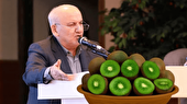 صادرات کیوی مازندران؛ درآمد ۶۰ میلیون دلاری و برنامه‌ریزی برای افزایش تولید