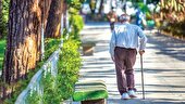 ۱۷۵ هزار سالمند البرزی آموزشهای بهبود زندگی دریافت کردند