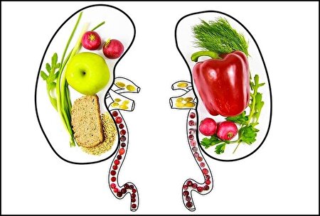 ۵ خوراکی خوب برای حفظ سلامت کلیه‌ها