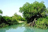 اکوتوریسم دریایی تقویت شود