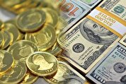 قرمزی بازار، رنگ باخت