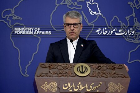 واکنش وزارت خارجه به شکنجه شهروند سوئدی حامی فلسطین توسط نظامیان اسراییل