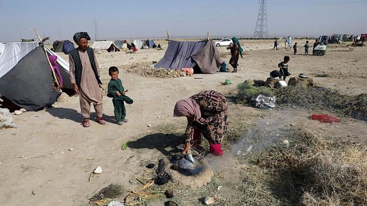 سازمان برنامه جهانی غذا (WFP) اعلام کرد که حدود نیمی از جمعیت افغانستان، معادل ۲۳ میلیون نفر، از ناامنی غذایی حاد رنج می‌برند و وضعیت سوءتغذیه به‌ویژه در میان کودکان زیر پنج سال به «سطح هشدار» رسیده است.