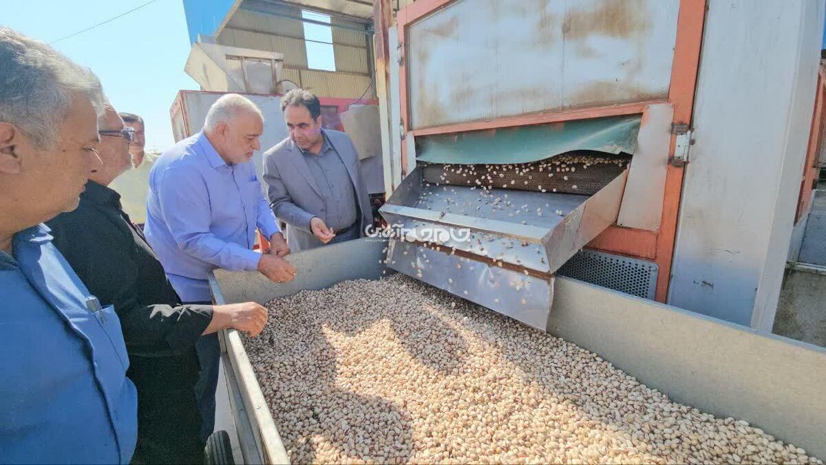 فرماندار زرند گفت: امسال بیش از ۸ هزار ۵۰۰ تن پسته به ارزش بیش از ۵ هزار ۸۱۰ میلیارد تومان از سطح حدود ۲۸ هزار و ۵۰۰ هکتار باغ‌های این شهرستان برداشت می شود.