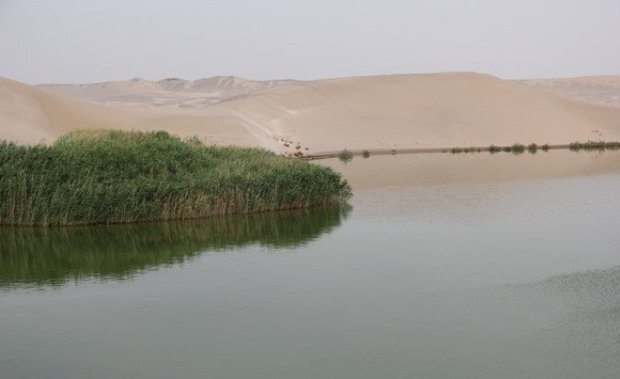 بحران بو و پشه در تصفیه‌خانه‌ فاضلاب یزد