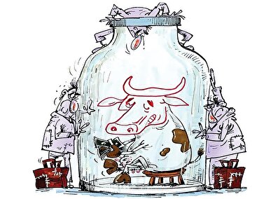 میراث گرانی شیر